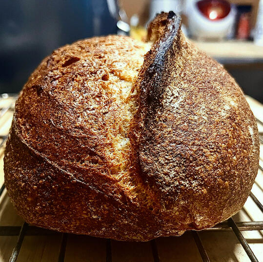 Wheathuselah — Italian whole grain sourdough, Brooklyn